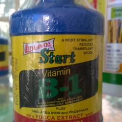vitamin B1