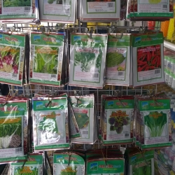 Phân Bón cho các loại Hoa Lan