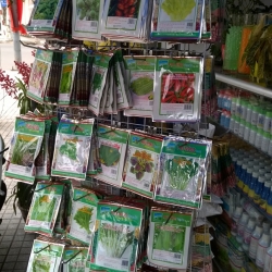 hạt giống đũ loại
