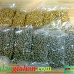 Phân Bón cho các loại Hoa Lan