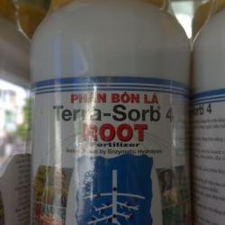 Phân Bón cho các loại Hoa Lan