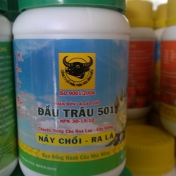 Phân Bón cho các loại Hoa Lan