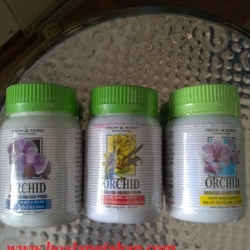 Phân Bón cho các loại Hoa Lan
