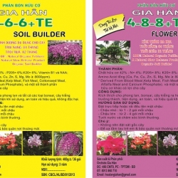 Phân Bón cho các loại Hoa Lan