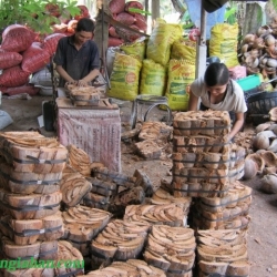Vật Tư Hoa Lan