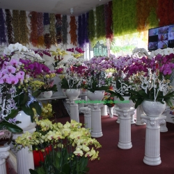 Hồ Điệp Cắm Chậu nghệ thuật