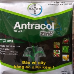 Phân Bón cho các loại Hoa Lan
