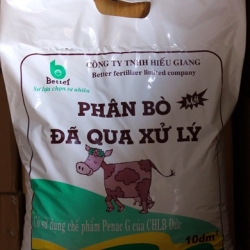 phân bò