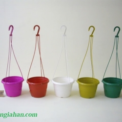 Vật Tư Hoa Lan