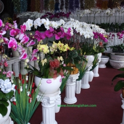 Hồ Điệp Cắm Chậu nghệ thuật
