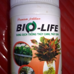 Phân Bón cho các loại Hoa Lan