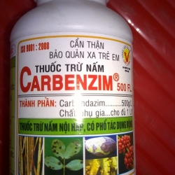Phân Bón cho các loại Hoa Lan