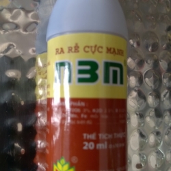 ra rễ cực mạnh