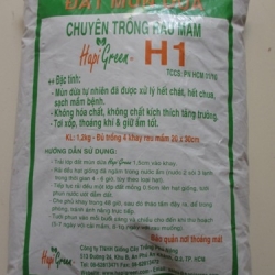 Phân Bón cho các loại Hoa Lan