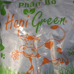 Phân Bón cho các loại Hoa Lan