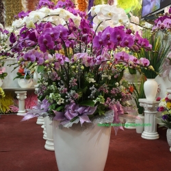 Hồ Điệp Cắm Chậu nghệ thuật