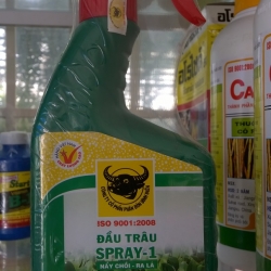 Phân Bón cho các loại Hoa Lan