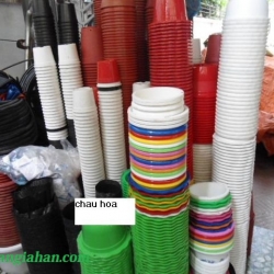 Vật Tư Hoa Lan
