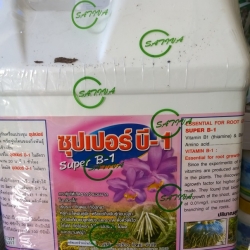Phân Bón cho các loại Hoa Lan